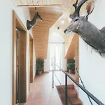 Tatil Evi Stylova S Vlastnim Koupanim & Pergolou *