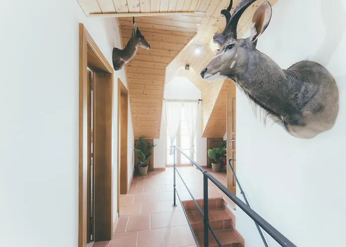 Semesterbostad Stylova S Vlastnim Koupanim & Pergolou *